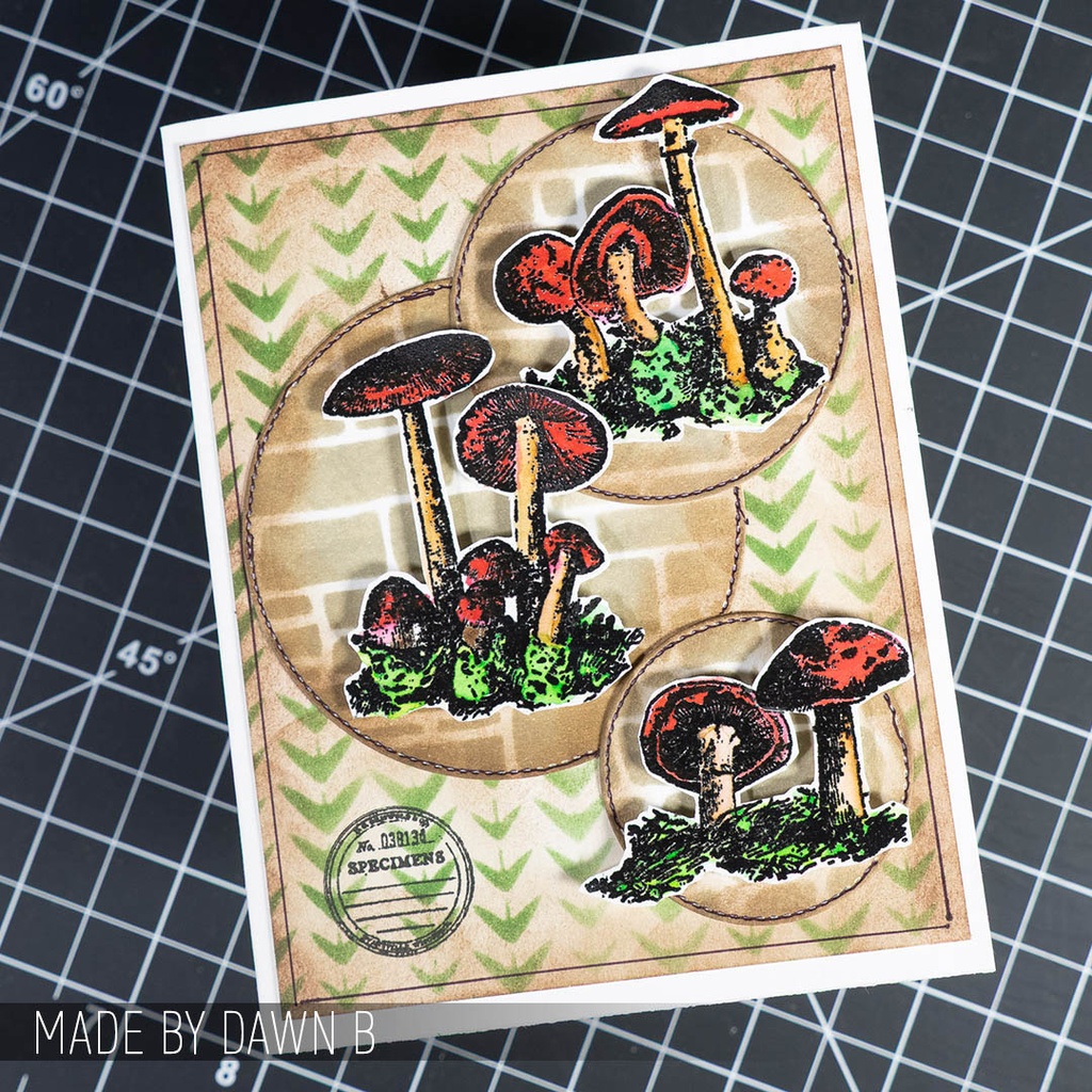Tim Holtz Mixed-Media Stamps & Stencil Set #12 - Tiny Toadstools