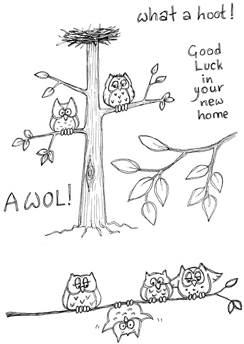 Lindsay Mason AWOL What a Hoot! stamp set