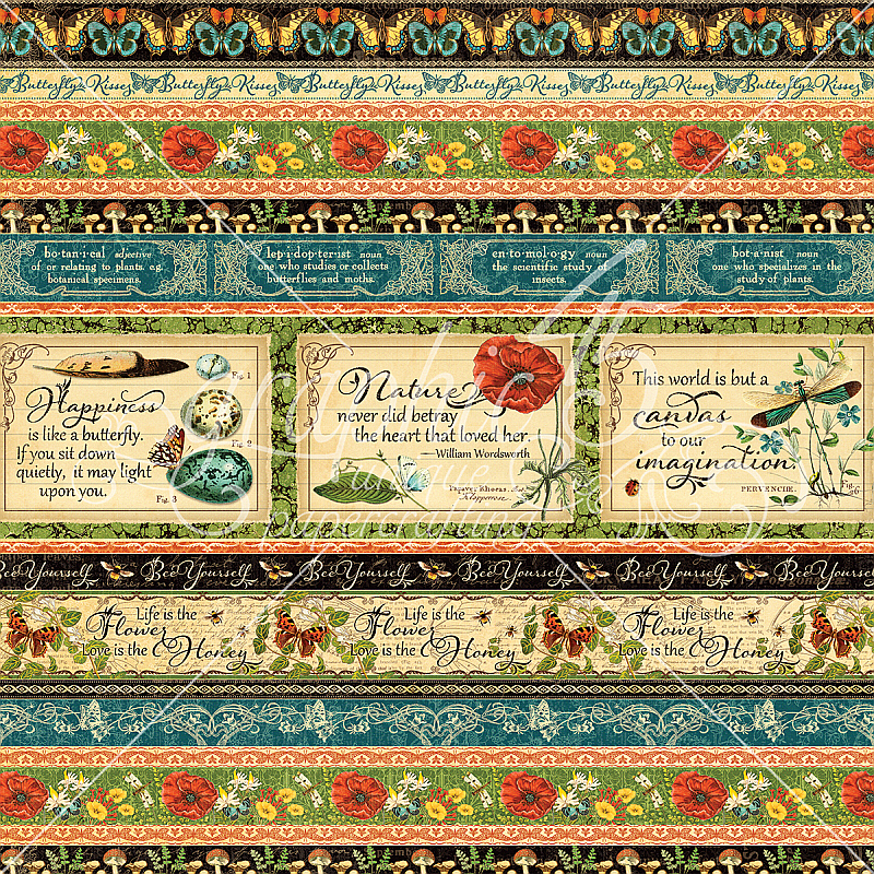 Graphic 45 - Nature Sketchbook - Seasonal Splendor 12"x12" Paper (x10 Sheets)
