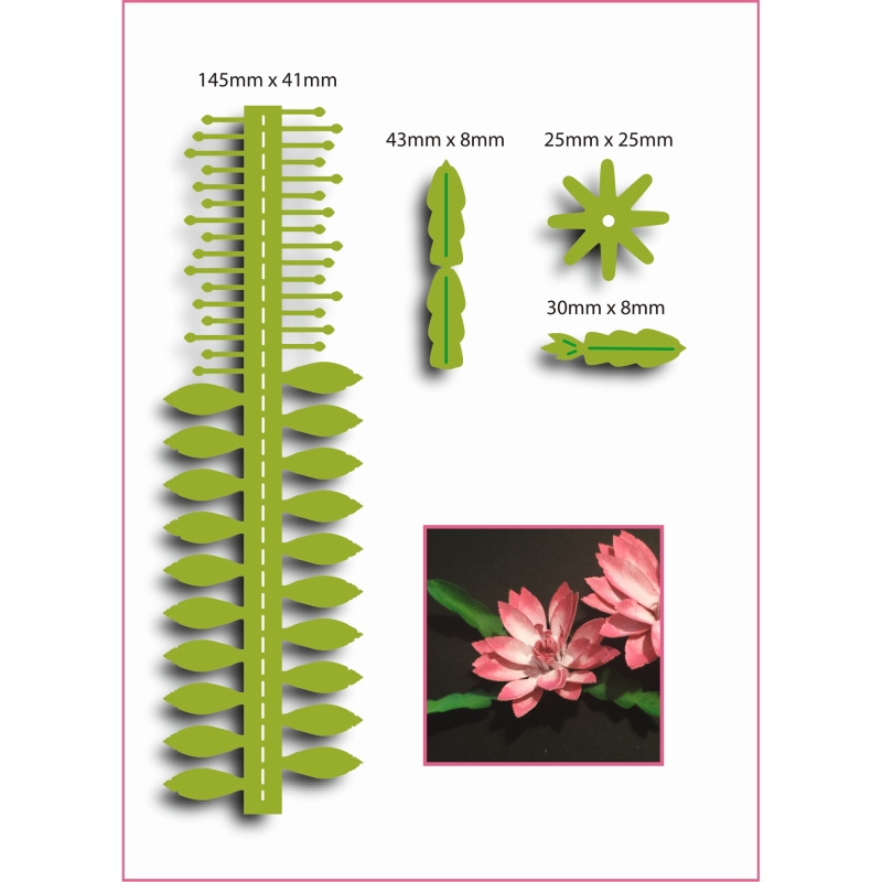 Sharon Callis Christmas Cactus Flower (Small) -Christmas Flowers & Foliage Collection