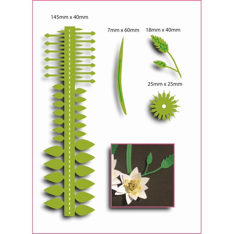 Sharon Callis Star of Bethlehem (Small) - Christmas Flowers & Foliage Collection