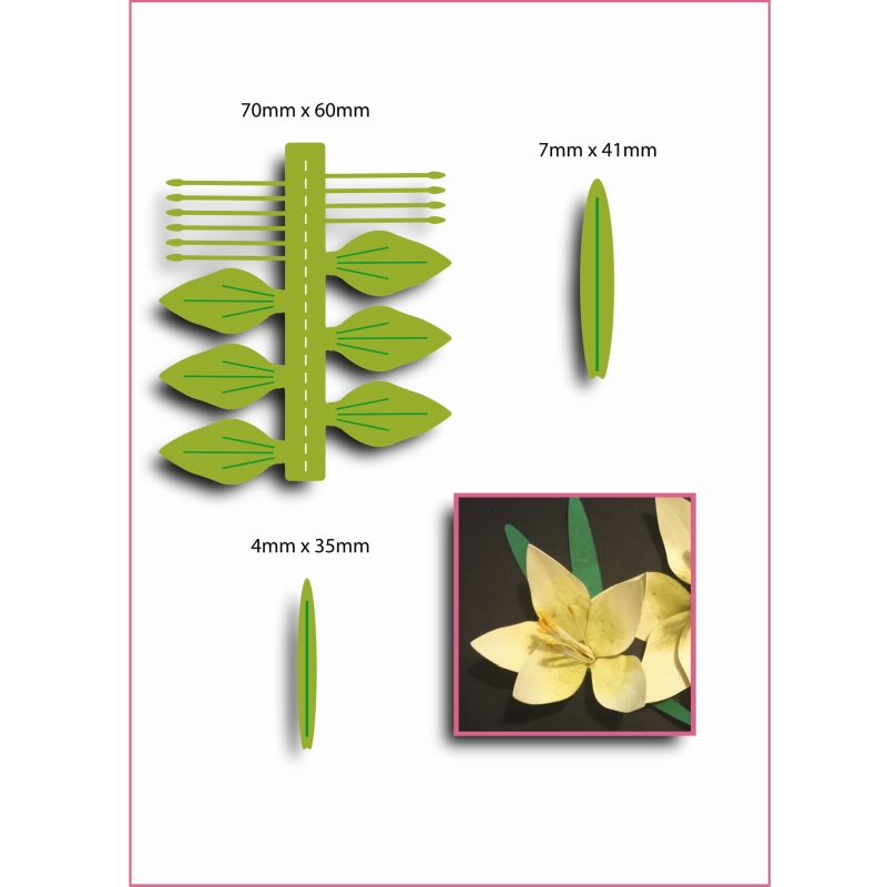 Sharon Callis Amaryllis (Small) - Christmas Flowers & Foliage Collection