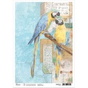 Ciao Bella Paper - Captain's Quarters A4 rice paper (SINGLE Sheet)