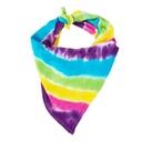 Tulip One-Step Tie-Dye Fashion Kit