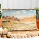 Mod Podge Photo Transfer Medium 8 Oz.