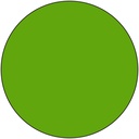 Ranger Liquid Pearls - Kiwi