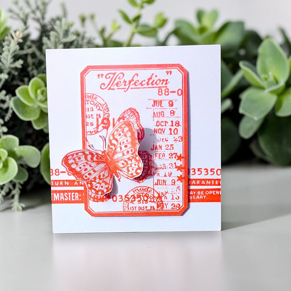 VersaFine Clair Carrot Orange