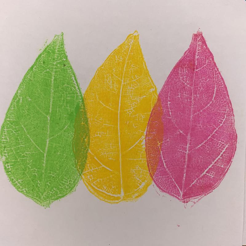 Leaf printing kit
