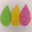 Leaf printing kit