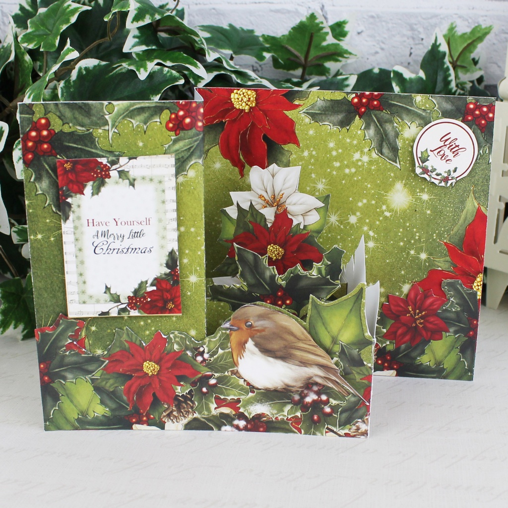 Diy Cardmaking Kit - Poinsettia Dreams