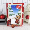 Match It Paper Pack - Christmas Bears - Post