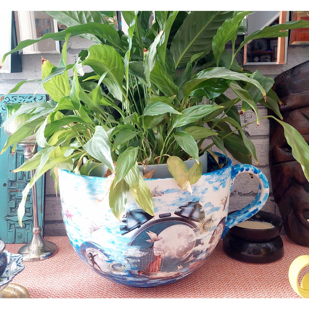Colossal Mug / Tea Cup box of 2