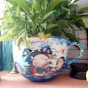 Colossal Mug / Tea Cup box of 2