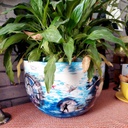 Colossal Mug / Tea Cup box of 2