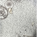 CBDS005_4