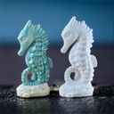 Seahorse (carton of 6)