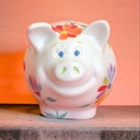 Cute Piggy Bank Money Box (carton of 6)