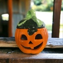 Medium Pumpkin With Lid (carton of 12)