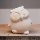 GMS Cute Owl (carton of 12)