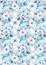 Vellum Elegance of Blue  Paper Patterns A4 6/Pkg