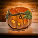 Medium Pumpkin with Leaves (Carton of 6)
