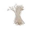Stamperia - Timeless Pack 100 stamens cm 8 white 