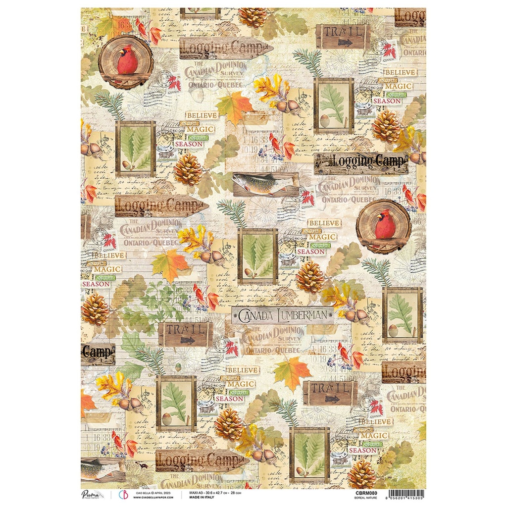 Ciao Bella Paper - Boreal Nature A3 rice paper (3 Pack)