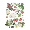Stamperia - Hidden Grove -  A5 Silicon Mould - Strawberries