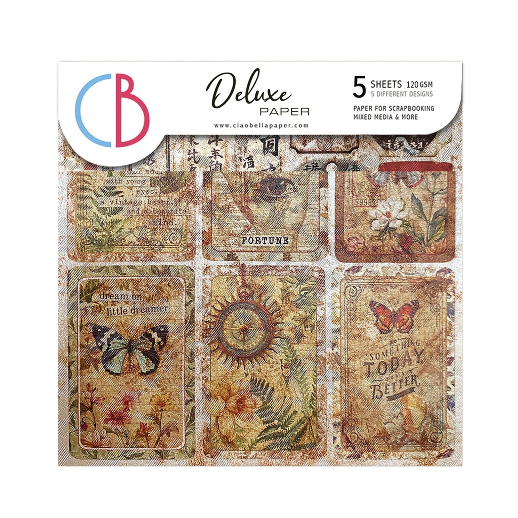 Cabinet of Curiosities Deluxe Pearl Paper   6"x6" 5/Pkg