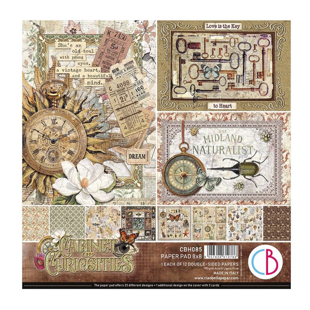 Cabinet of Curiosities 8"x8"  Paper Pad 