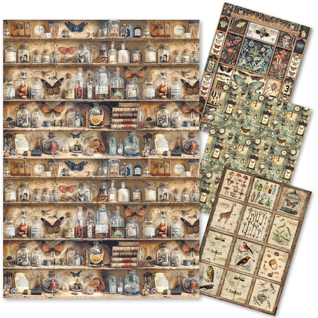 Cabinet of Curiosities Rice Paper A4 MIXED 4/Pkg 