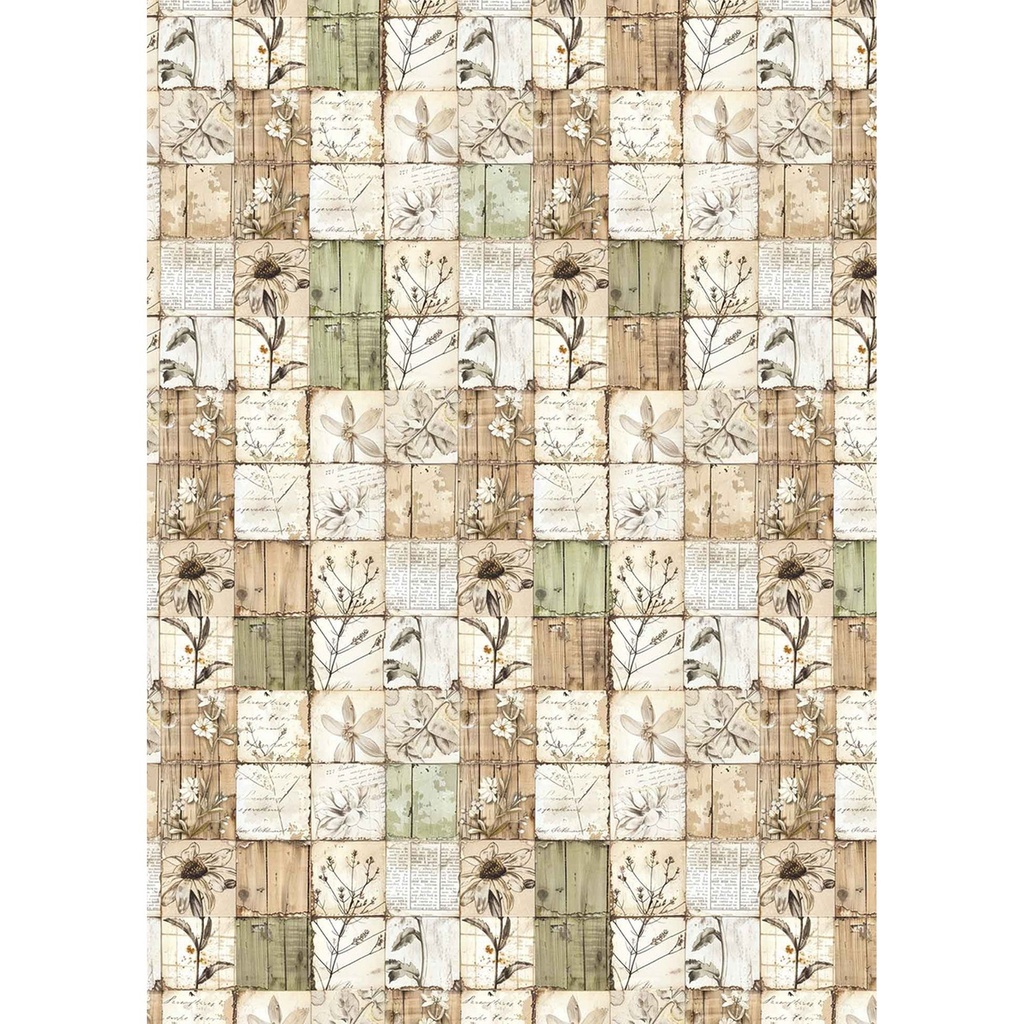 Cabinet of Curiosities A4 Vellum Paper Patterns 6/Pkg