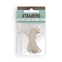 Stamperia - Timeless - Stamens (100pk) 