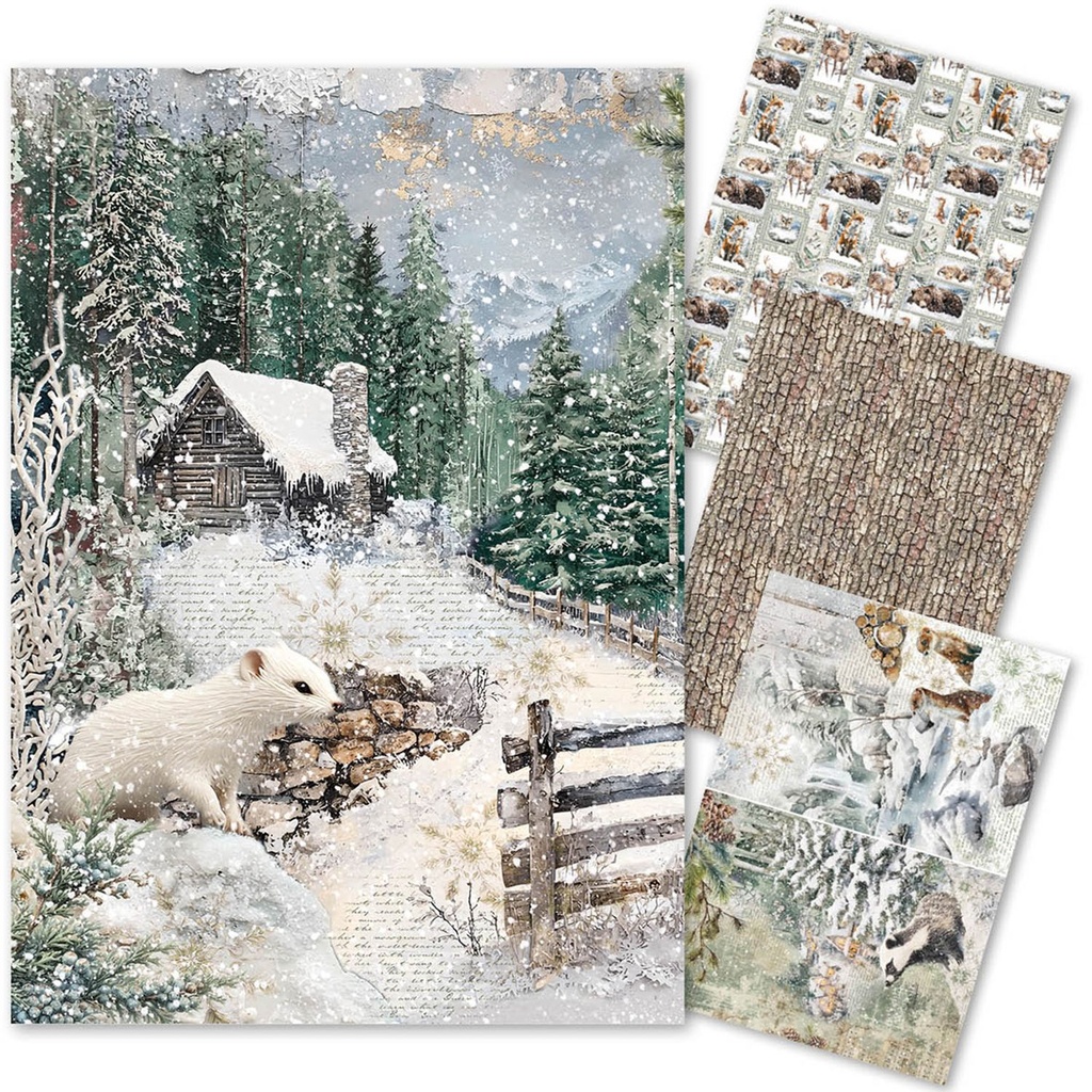 Ciao Bella Rice Paper A4 MIXED 4/Pkg Forest Tales **DUE 31/07/2025**