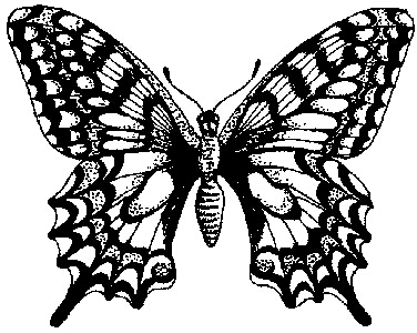 Swallowtail - Traditional Wood Mounted Stamp
