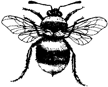Bee - Traditional Wood Mounted Stamp