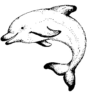 Leaping Dolphin - Traditional Wood Mounted Stamp