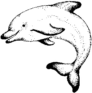 Small Dolphin - Traditional Wood Mounted Stamp