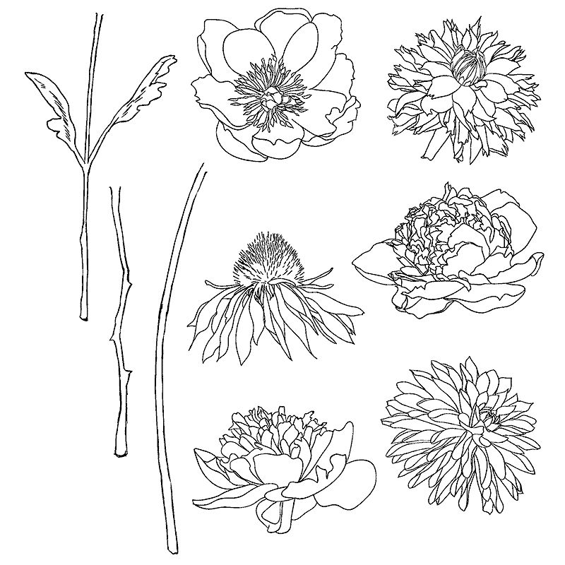Tim Holtz Cling Stamps - Flower Garden