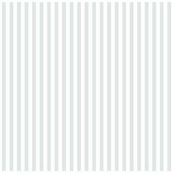 12x12 Stripe Bazzill White (1