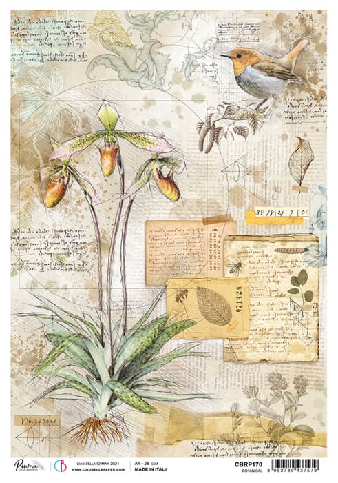 Botanical - Ciao Bella Piuma Rice Paper A4 - 5 pack