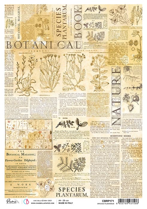 Species Plantarum - Ciao Bella Piuma Rice Paper A4 - 5 pack