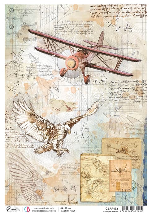 Study of Flight - Ciao Bella Piuma Rice Paper A4 - 5 pack