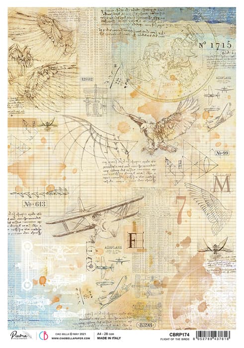 Flight of the Birds x - Ciao Bella Piuma Rice Paper A4 - 5 pack