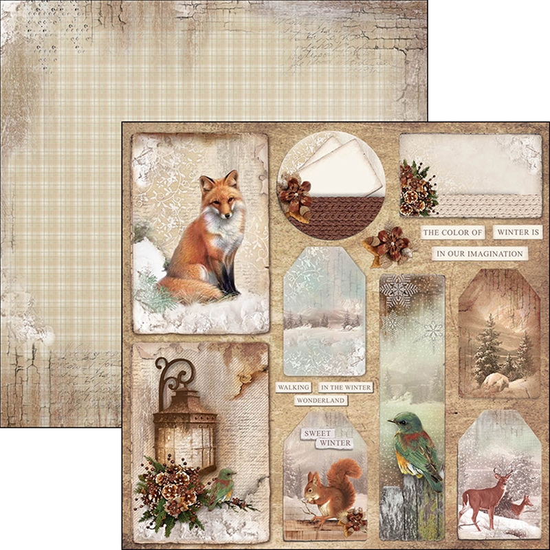 12"x12" Sheets x12 Colour of winter