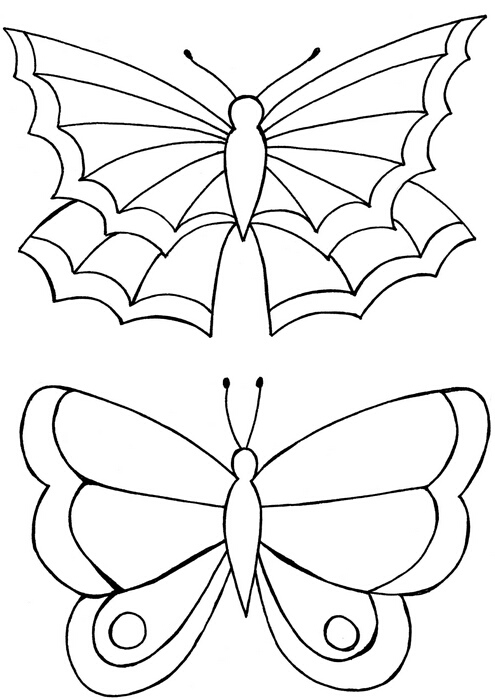 LM Zentangle Butterflies