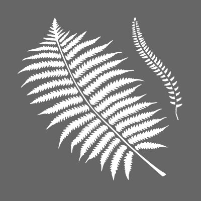 Botanical Stencil Pack of 2