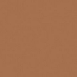 Terra Cotta Americana Acrylic 2Oz.