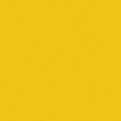Bright Yellow Crafters Acrylic 2oz