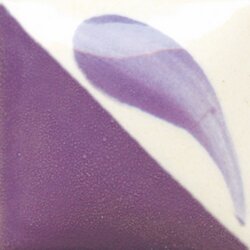 BRIGHT PURPLE DUNCAN CONCEPTS 8OZ